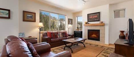 TV, fireplace, DVD player