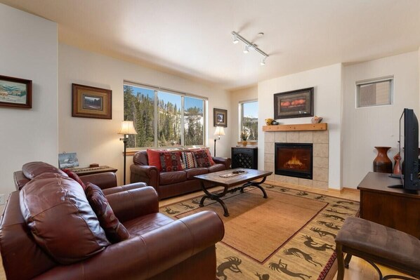 TV, fireplace, DVD player