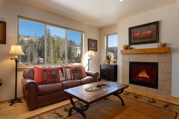 Téléviseur, foyer, lecteur de DVD, chaîne audio