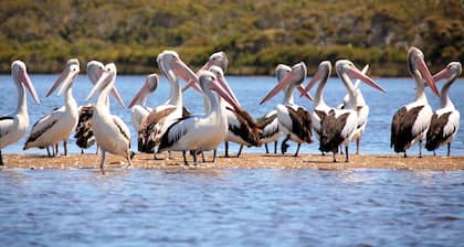 Southerly Studio right in Augusta where the two oceans meet.