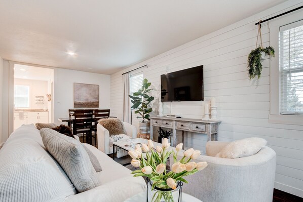 智能电视、壁炉、Netflix、流媒体服务