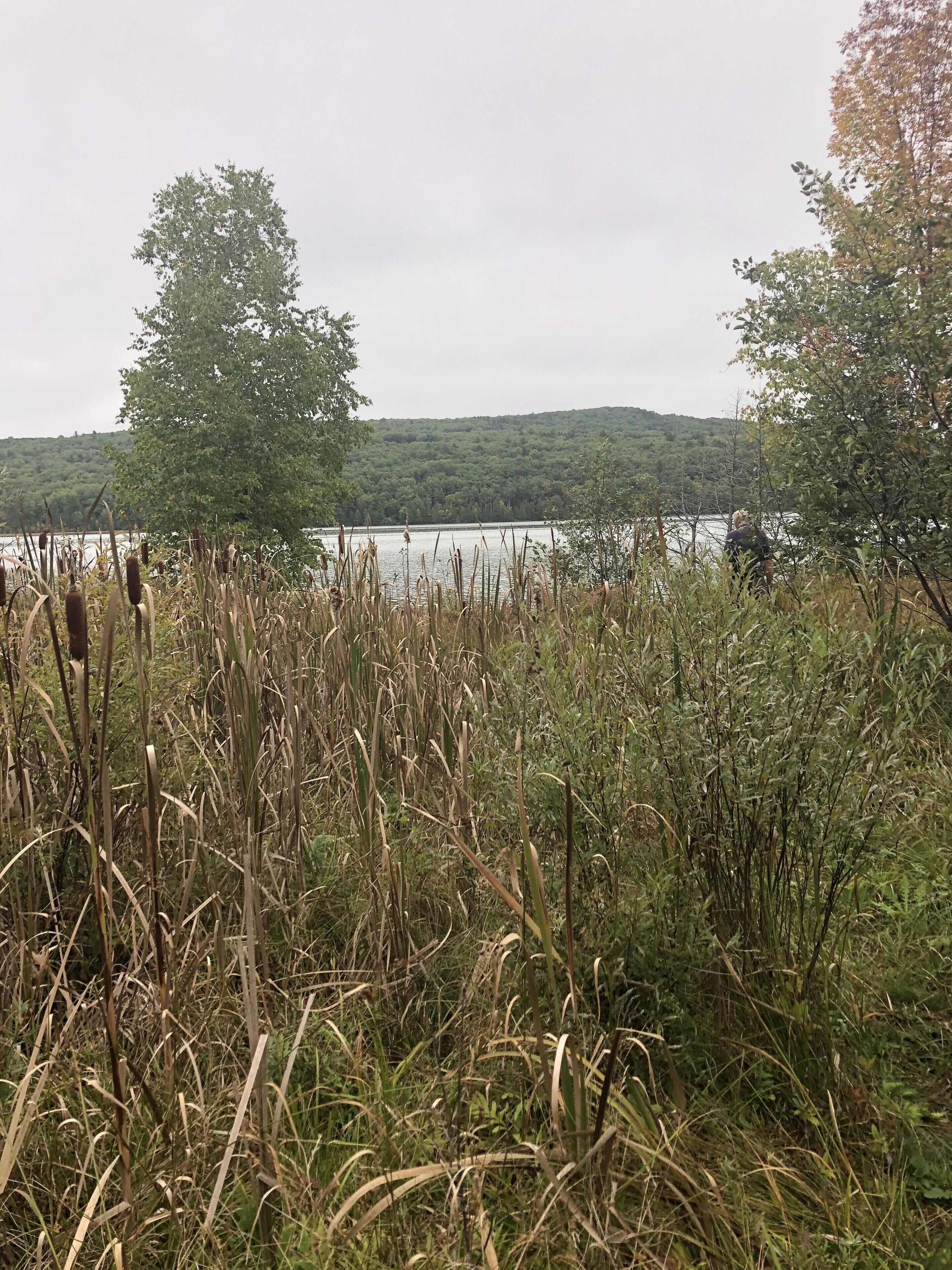 10 Best VRBO Vacation Rentals In Iron Mountain, Michigan Updated 2024