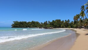 A beach with clear turquoise water, sandy shore, and palm trees.