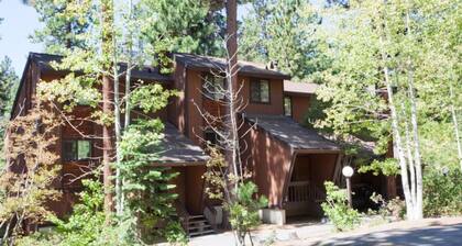 Upea 4-tähden Rivitalo North Lake Tahoe, Täydellinen Hiihtäjät & Family Fun