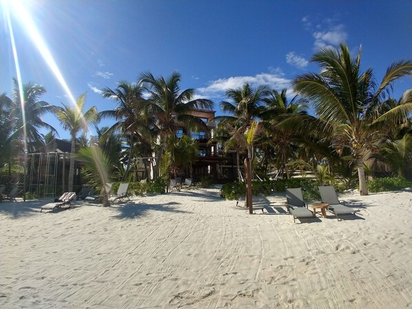 A beach with palm trees, sun loungers, and a building with multiple balconies.