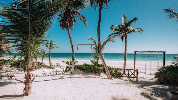 A beach with a swing set and palm trees. - Hotel Los Arrecifes (Tulum)