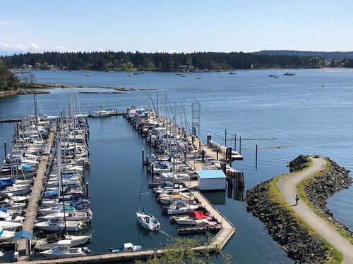Breath Taking Views of Nanaimo's Harbour Front! From Sea Planes to BC Ferries...