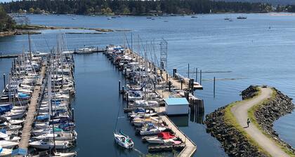 Breath Taking Views of Nanaimo's Harbour Front! From Sea Planes to BC Ferries...