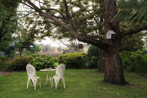 A garden with a large tree, two white chairs, and a small table. - Jasmine's Cottage Barossa Valley Vineyard Views (Barossa Valley)