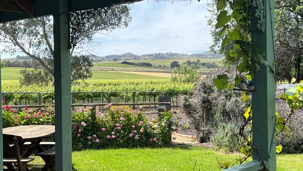 A covered outdoor area with a wooden table and benches, surrounded by a garden with pink flowers and a view of a vineyard and hills in the distance. - Jasmine's Cottage Barossa Valley Vineyard Views (Barossa Valley)