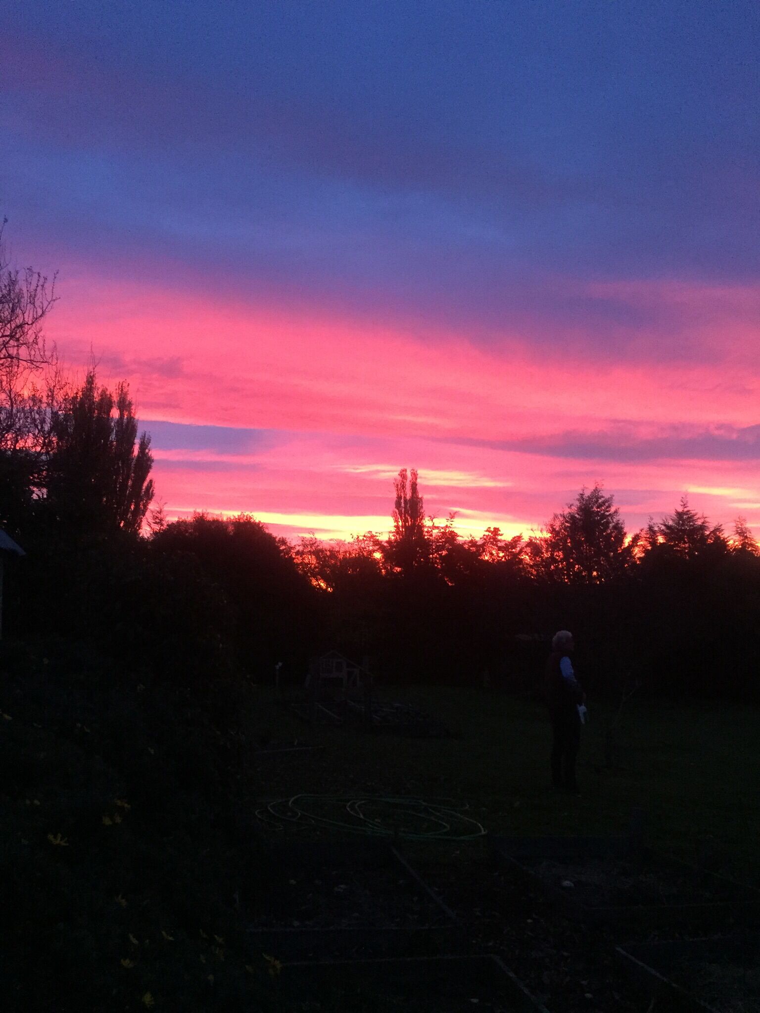 A person standing in a field during sunset with a colorful sky.