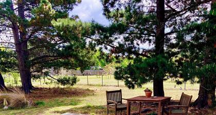 White Croft chalet