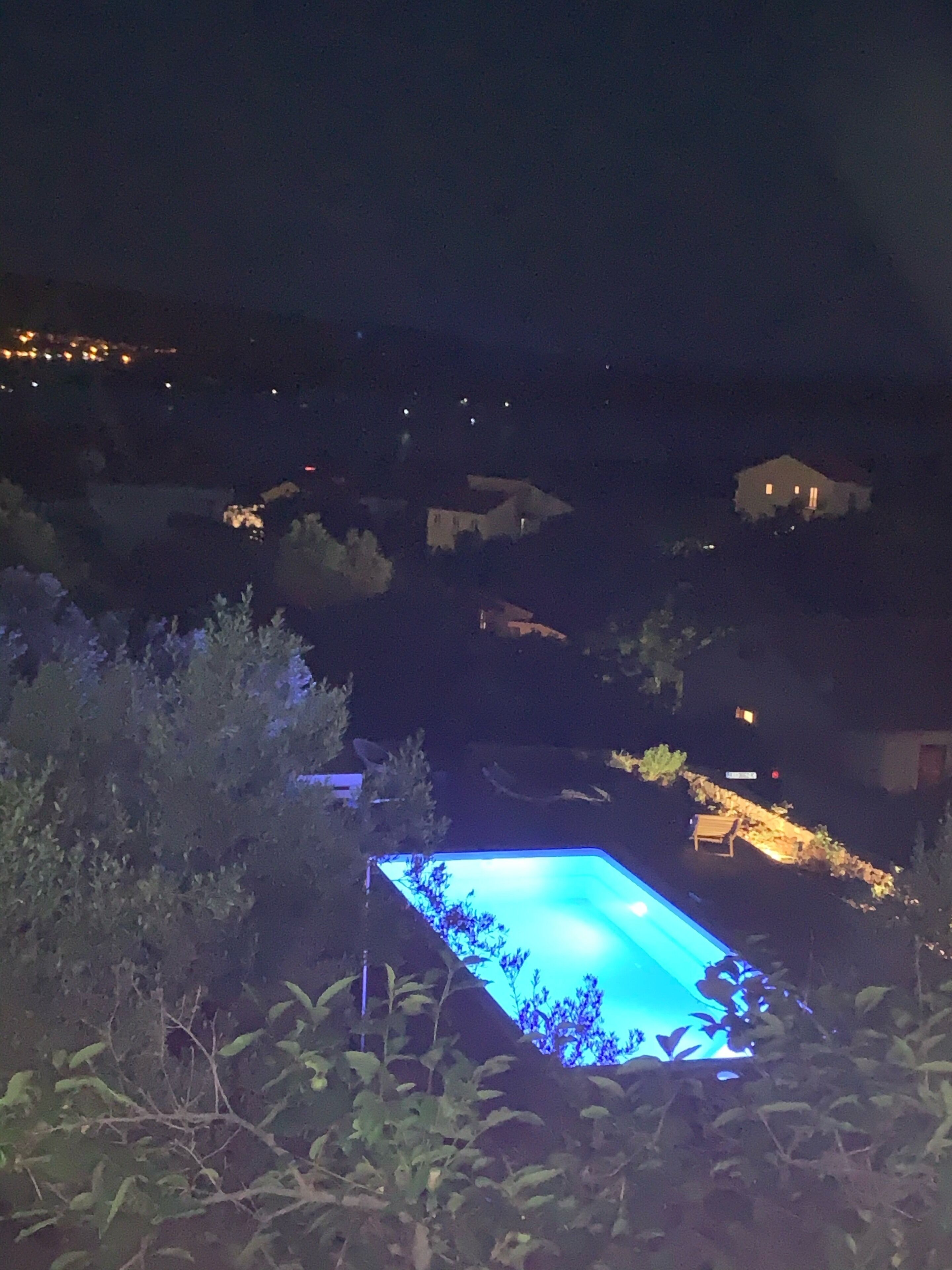 Vista nocturna de una piscina rodeada de vegetación y casas.