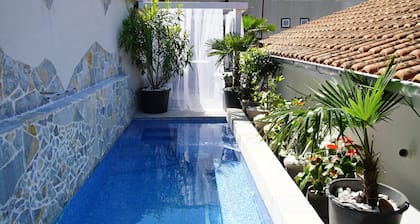 PENTHOUSE STOLIV 14 beds SPA/POOL 5 m/sea Priv.Jetty Pebble Beach Sunbeds