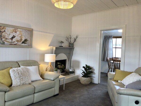 Smart TV, fireplace, books