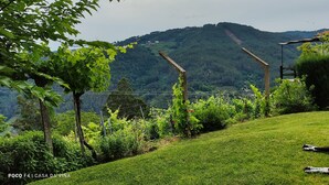 A dog lying on a grassy slope with a mountainous backdrop and a house with a red-tiled roof. - CASA DA VIÑA (Nogueira de Ramuín - Ourense) Ribeira Sacra  (Ourense)