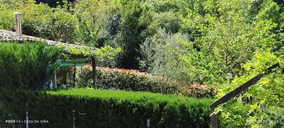 CASA DA VIÑA (Nogueira de Ramuín - Ourense) Ribeira Sacra
