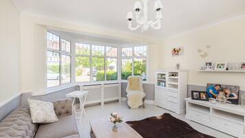 TV, fireplace, DVD player, books