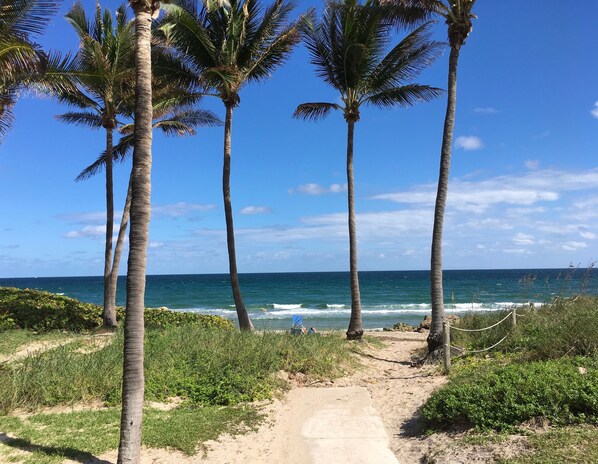 Beach - Beach-side luxurious studio apartment (Deerfield Beach)