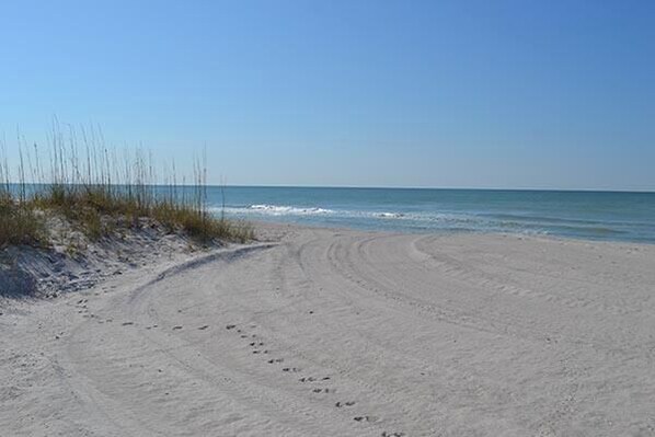 Unclassified image, 1 of 23, button