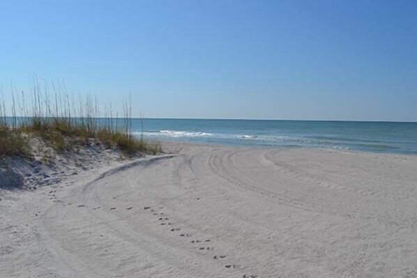 Unclassified image, 1 of 23, button