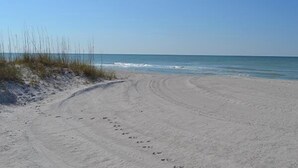 A sandy beach with footprints leading to the water. - Beachcomber unit 405 (Longboat Key)