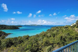 A coastal landscape with a clear sky, dense greenery, and a calm sea.