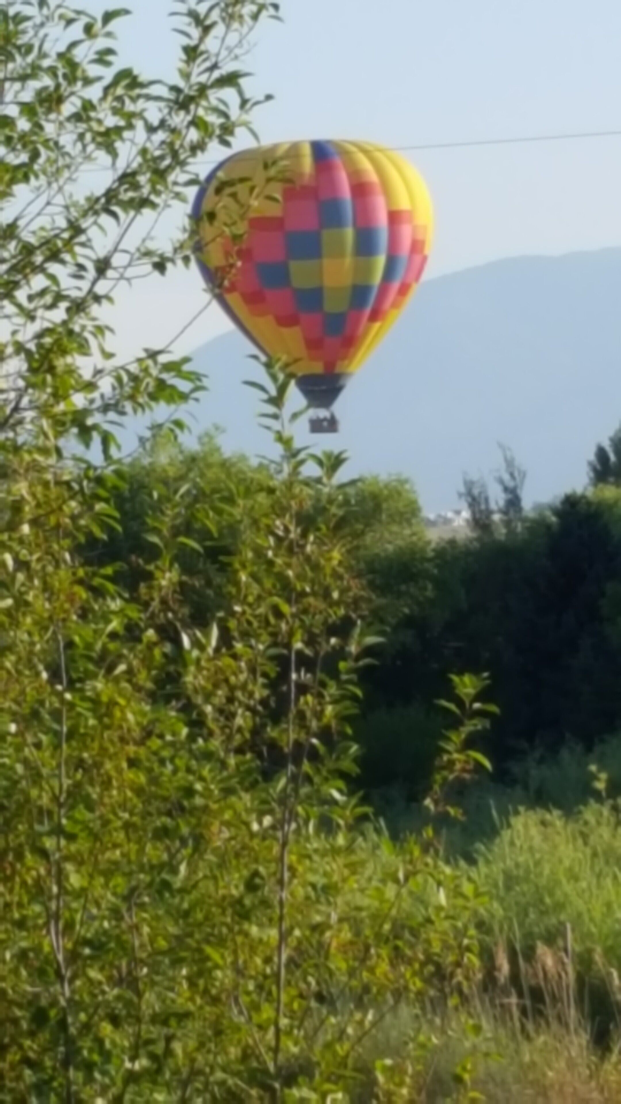 Un globo aerostático colorido con diseño de cuadros, volando sobre un paisaje verde exuberante con árboles y una montaña al fondo.