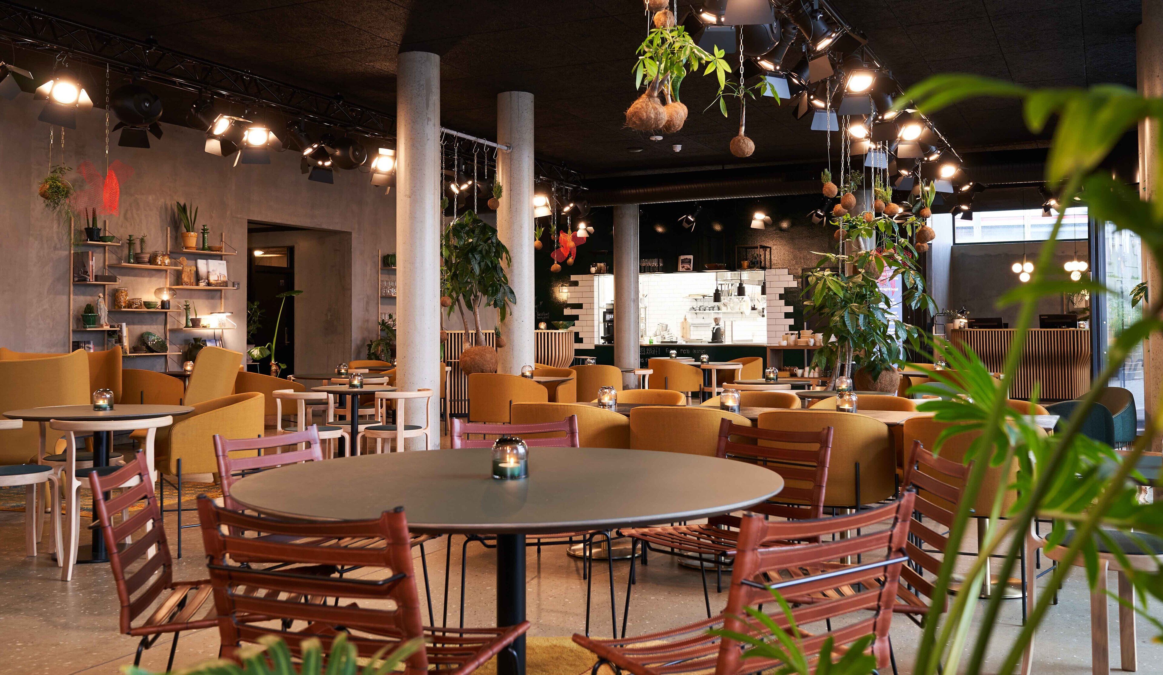 Ein modernes Café mit runden Tischen und Stühlen, Zimmerpflanzen und einer Bar.
