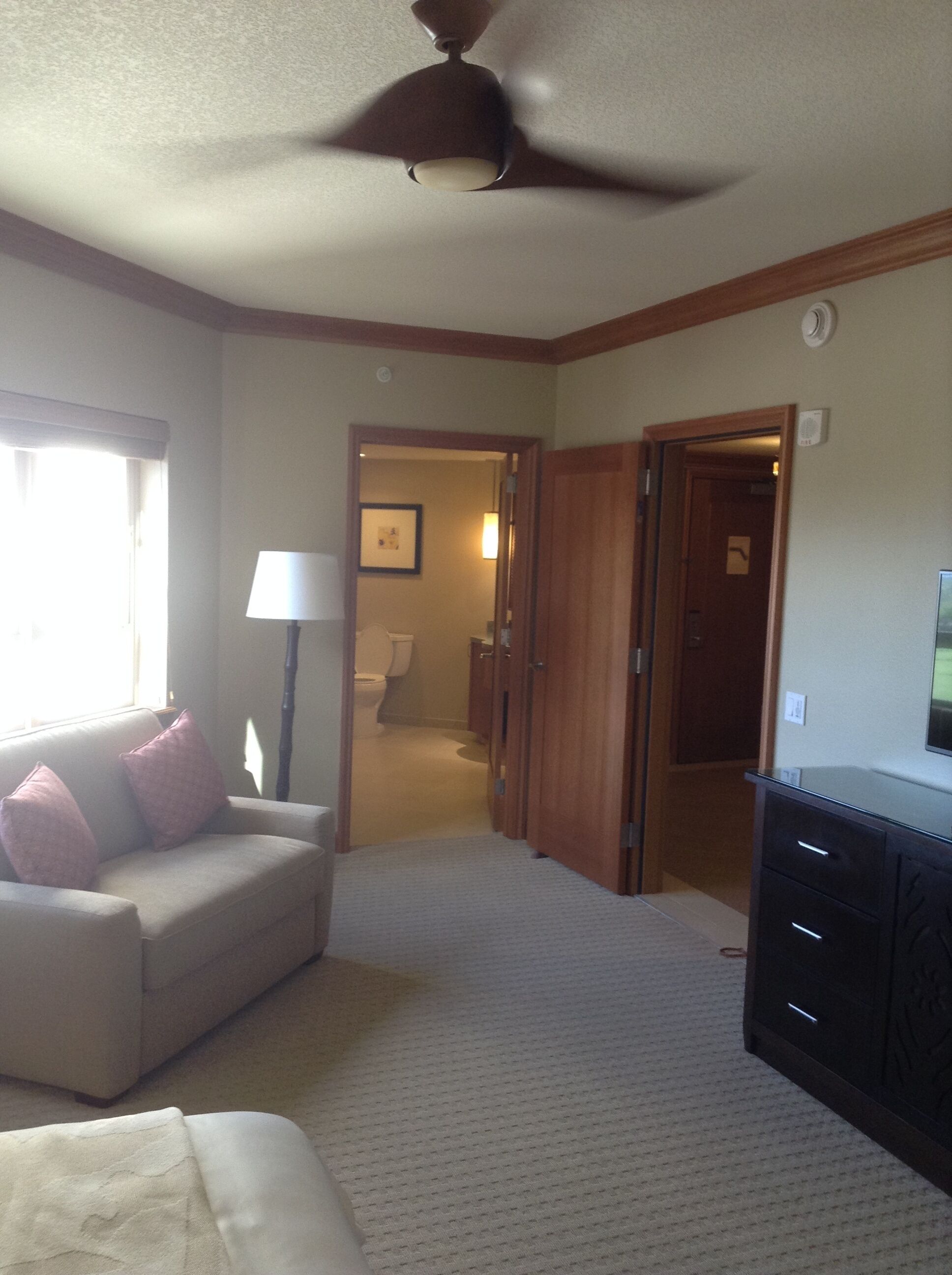 Smart TV, DVD player