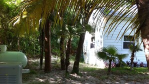 A white house surrounded by palm trees and a green utility box. - Tiny House Vacation, Bayfront with private beach area!  On two secluded acres! (Dunmore Town)