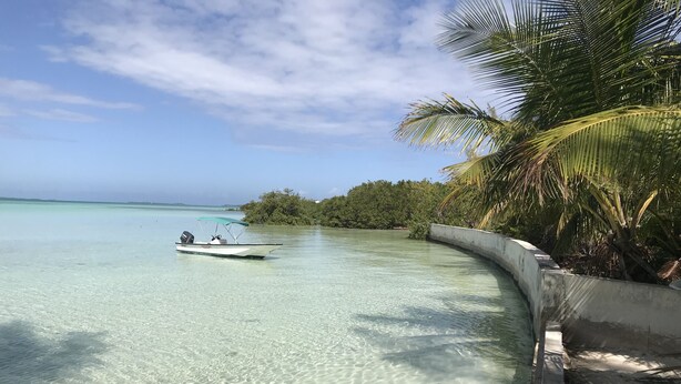 A boat on clear turquoise water, a concrete walkway, and dense green foliage. - Tiny House Vacation, Bayfront with private beach area!  On two secluded acres! (Dunmore Town)