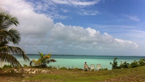 A beach view with two white chairs and a palm tree. - Tiny House Vacation, Bayfront with private beach area!  On two secluded acres! (Dunmore Town)