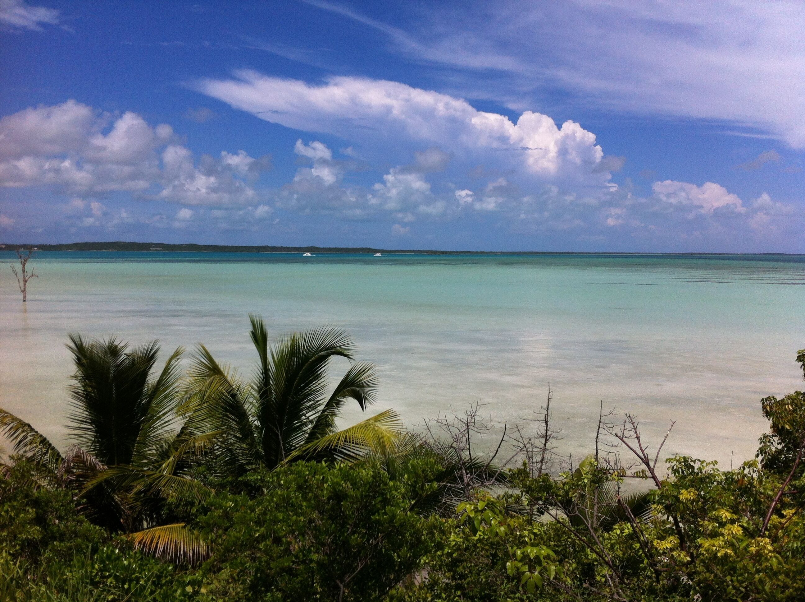 Ein tropischer Strand mit klarem, türkisblauem Wasser, Palmen und einer entfernten Küstenlinie.