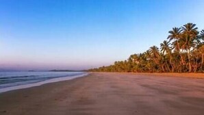 Una playa con cielo despejado y palmeras.