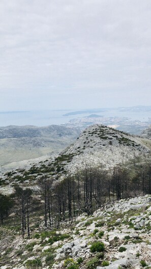 Beach - APARTMAN ANTOS -DREAM DOES NOT HAVE AN EXPIRATION DATE (Split)