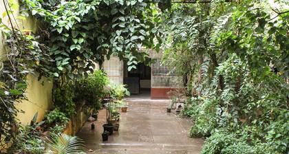 Tranquil living in midst of the city,