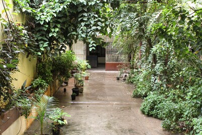 Tranquil living in midst of the city,