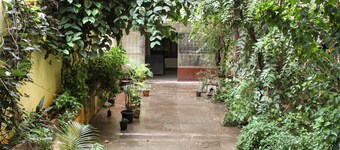 Tranquil living in midst of the city,
