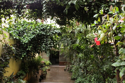 Tranquil living in midst of the city,