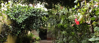 Tranquil living in midst of the city,