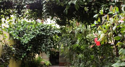 Tranquil living in midst of the city,