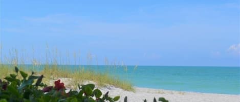 On the beach, sun-loungers, beach towels