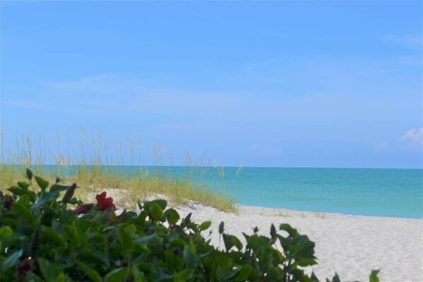 On the beach, sun-loungers, beach towels