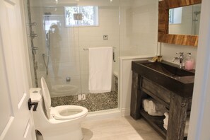 Douche, articles de toilette (gratuits), séchoir à cheveux