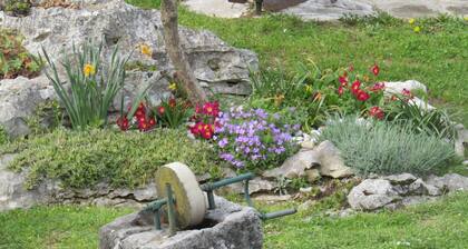 Apartment Pino is located in a quiet town in Istria Roč.