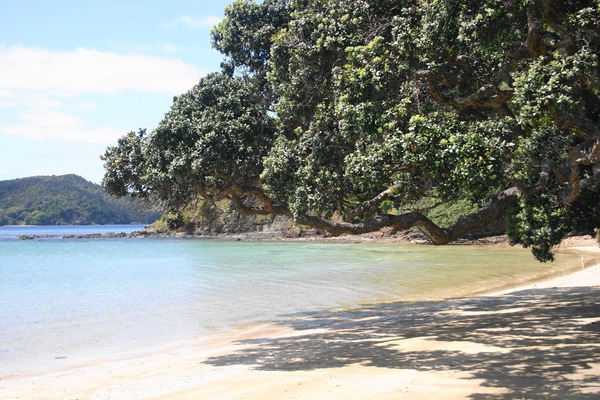 Beach nearby, beach towels