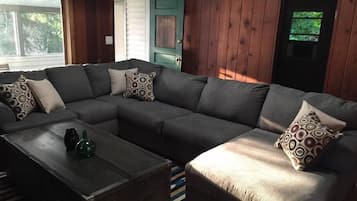 Télévision, cheminée, lecteur de DVD, table de tennis de table