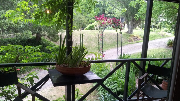 A wooden deck with a potted plant and two chairs. - ROSE AT LEAFIELD COTTAGES (Dixons Creek)
