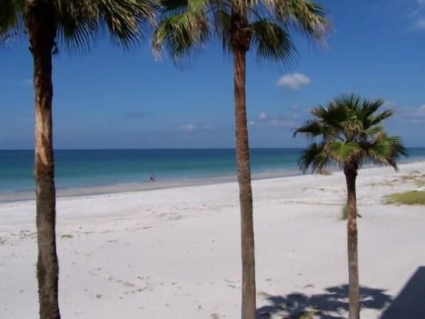 A beach with white sand and palm trees.